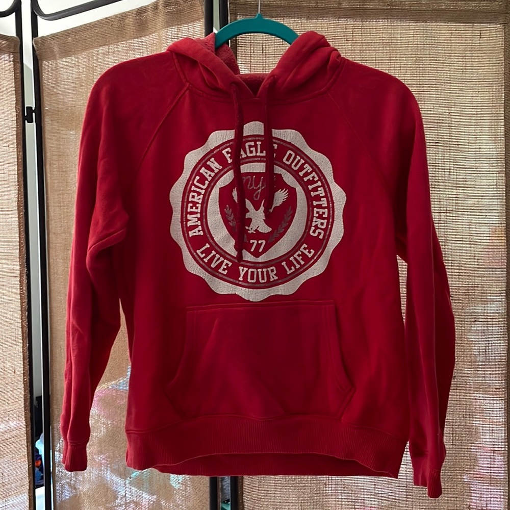 American Eagle Outfitters | hoodie